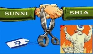 45064-sunni-and-shia